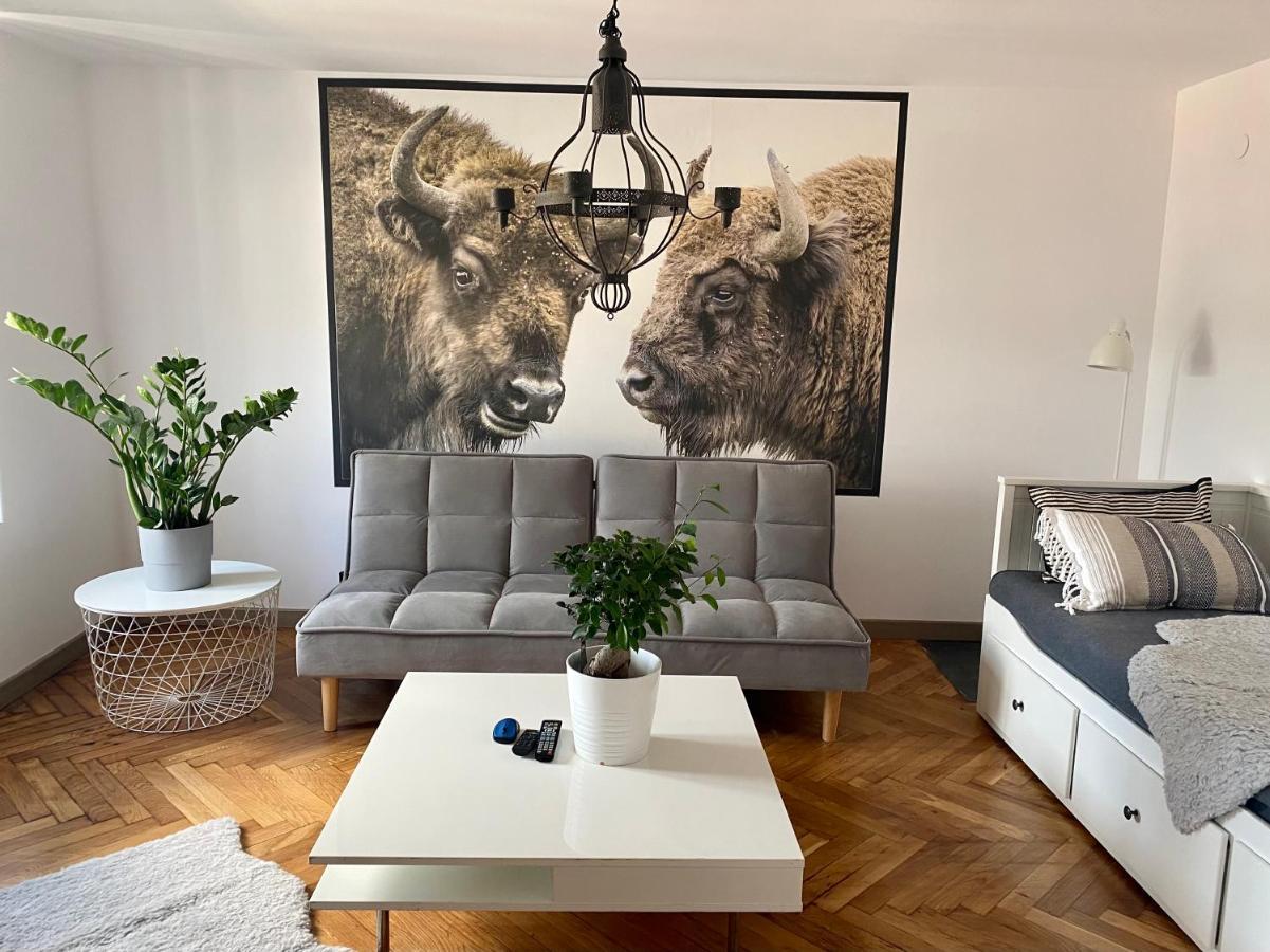 Apartamenty Pod Zabami Nr 2 Bielsko-Biała Dış mekan fotoğraf